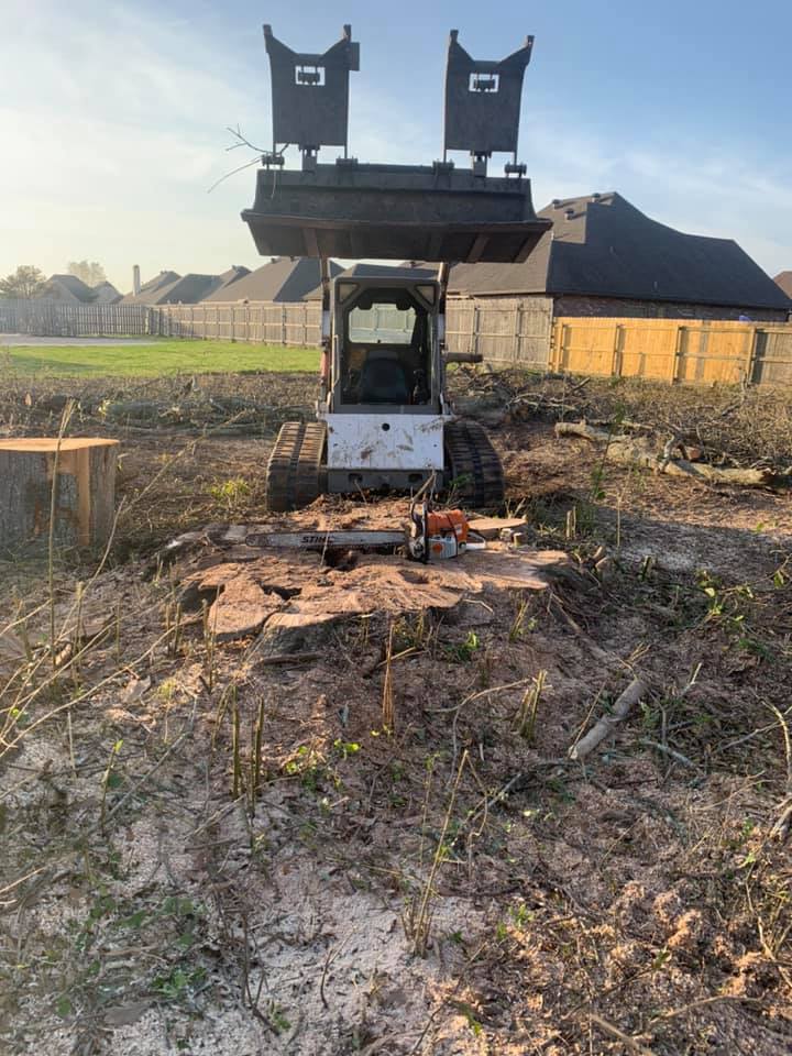 Land clearing with heavy equipment