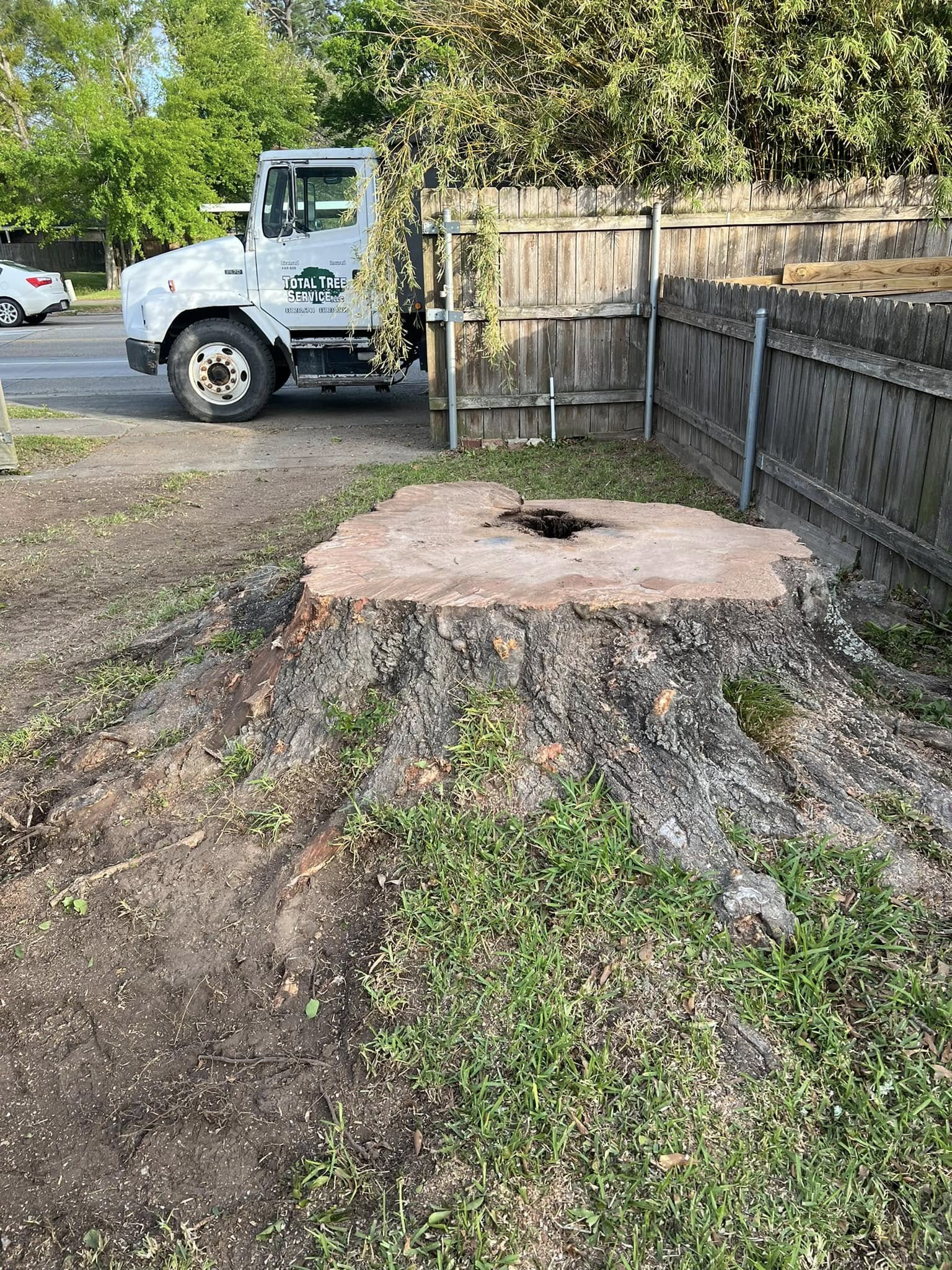 Stump grinding