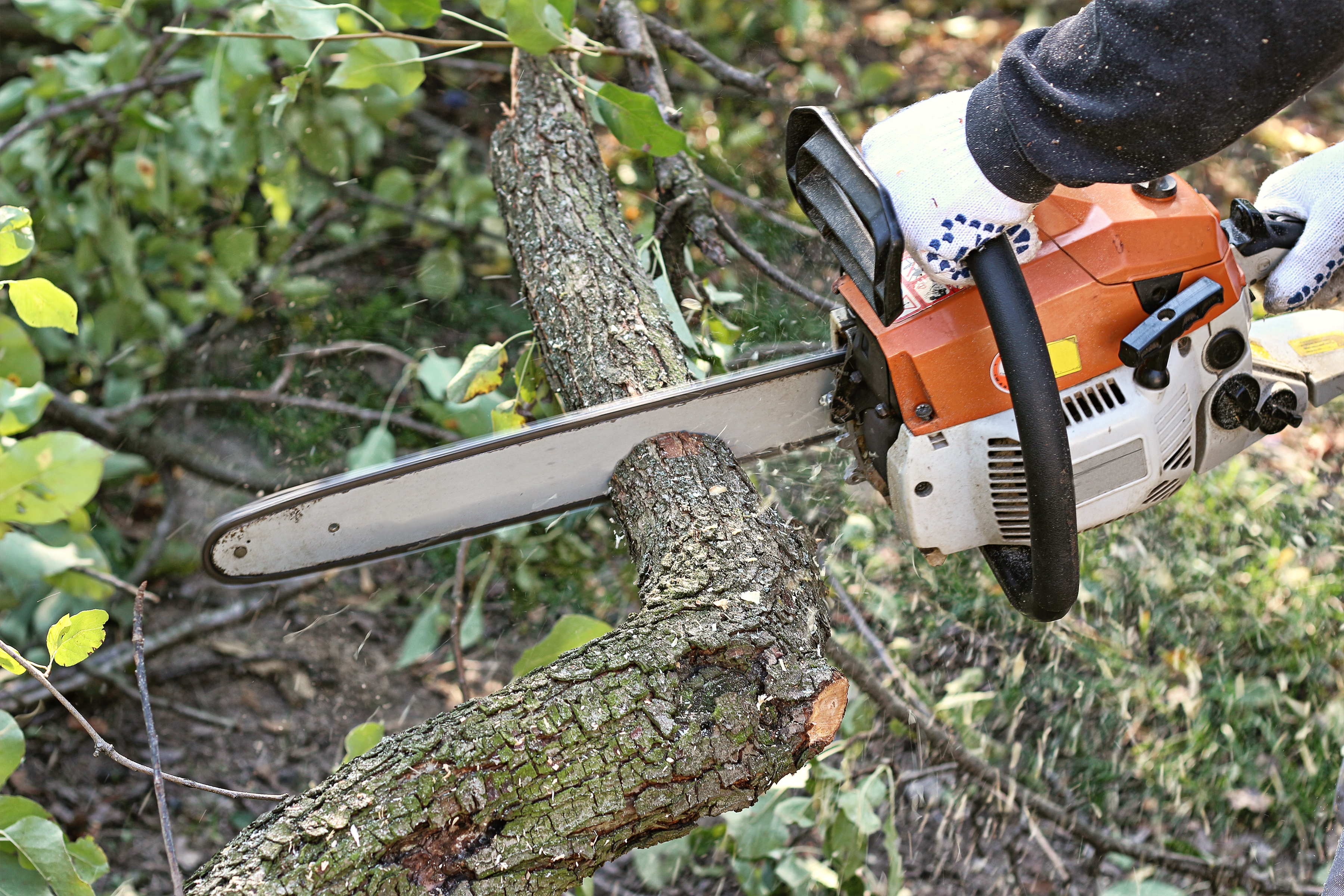 Storm cleanup near a residential property
